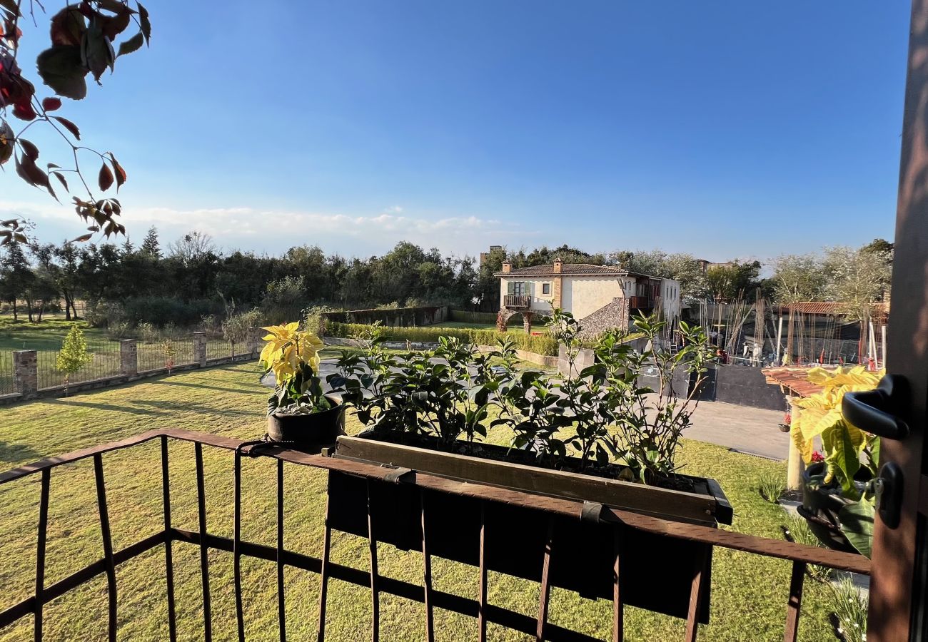 Casa a Val’Quirico - Casa La Patrona