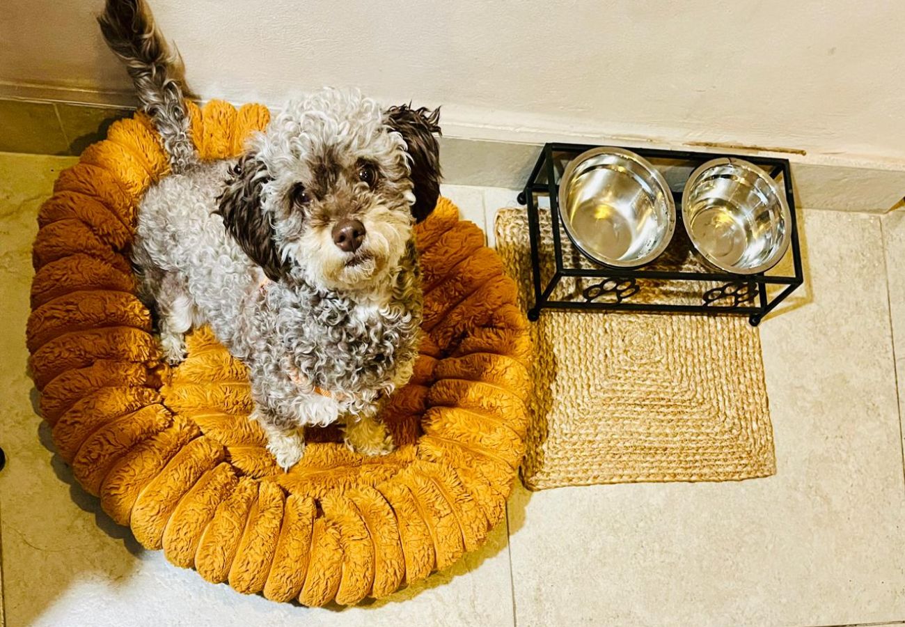 Departamento en Val’Quirico - Loft MIA en ValQuirico