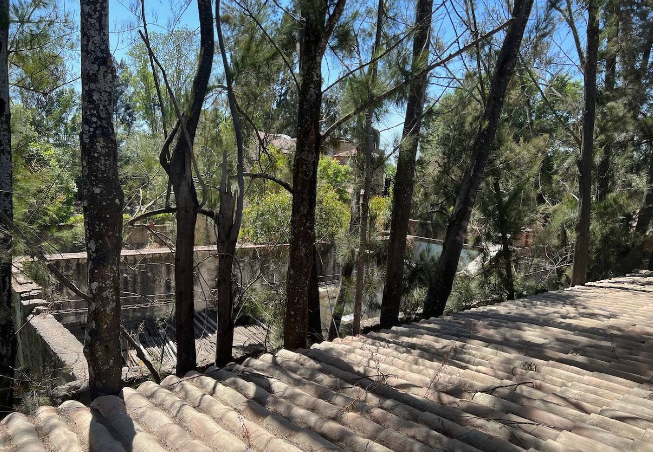 Apartment in Val’Quirico - Rome en Val’Quirico