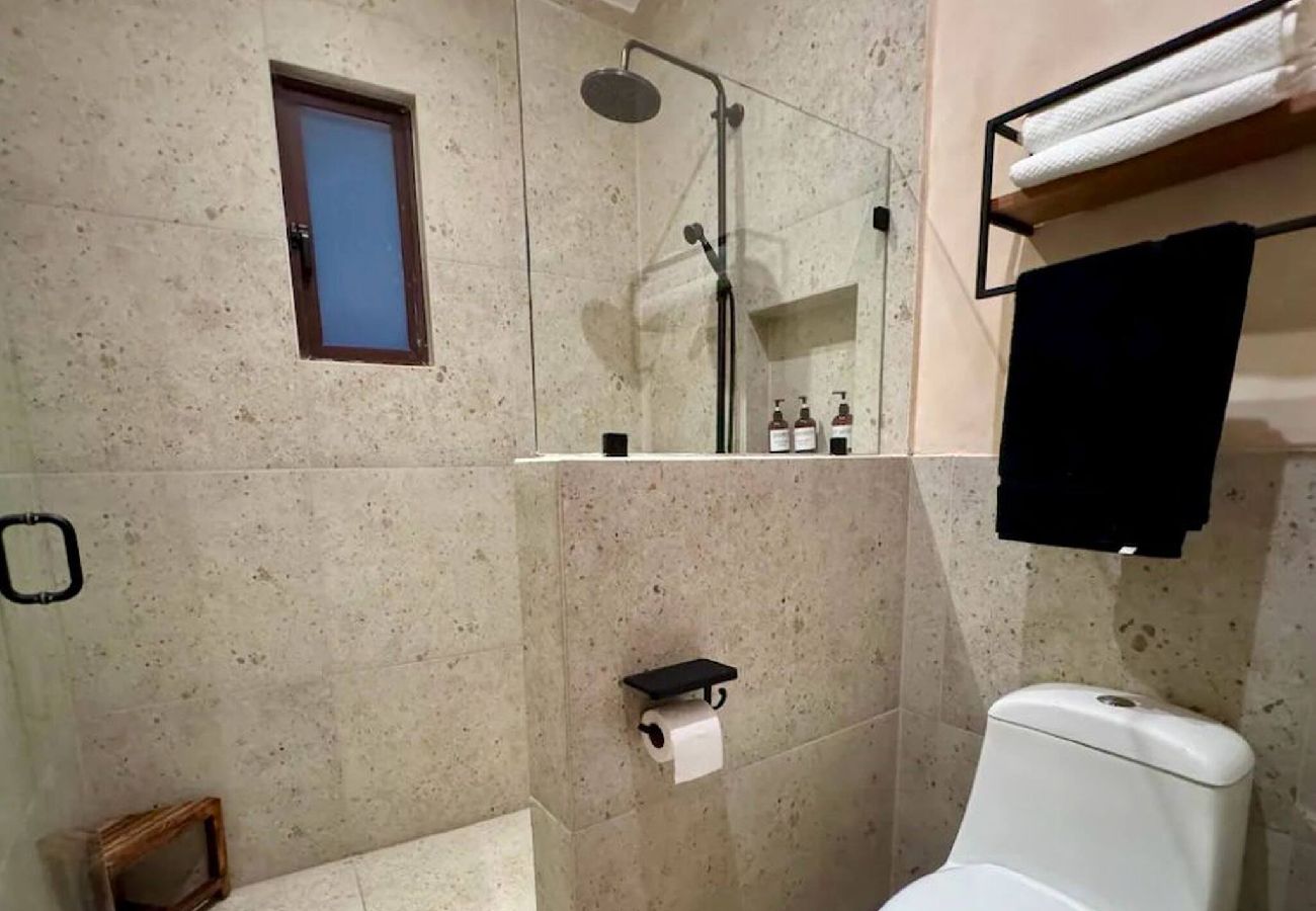 Apartment in Val’Quirico - Don Roque en Val’Quirico