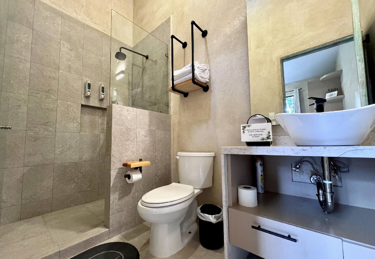 Apartment in Val’Quirico - Sofía en Val’Quirico