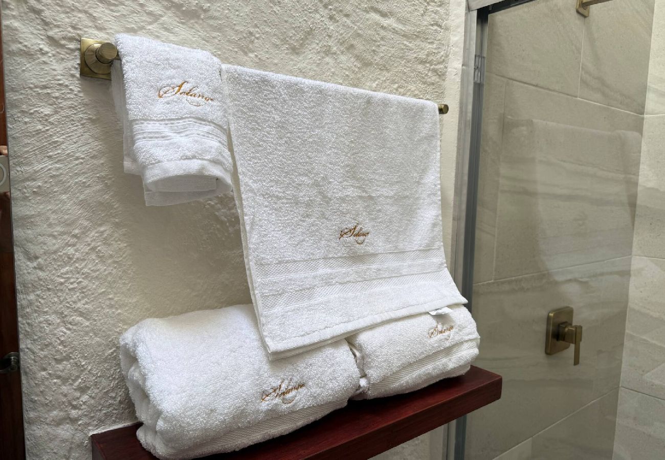 Apartment in Val’Quirico - Solange Suite en ValQuirico