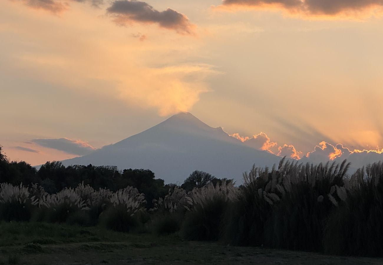 Rent by room in Val’Quirico - Apolonia en Val’Quirico