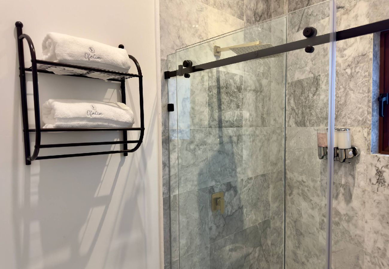 Apartment in Val’Quirico - Ofelia en Val’Quirico