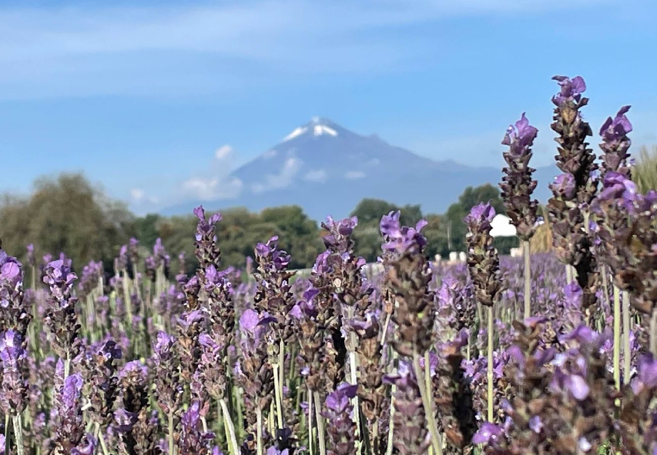 Apartment in Val’Quirico - Loft MIA en ValQuirico