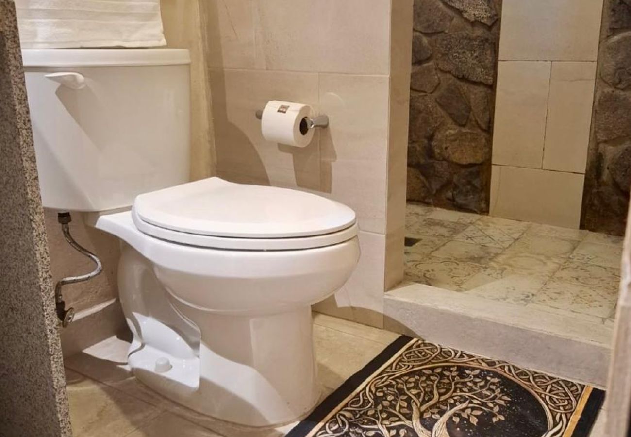 Apartment in Val’Quirico - Loft MIA en ValQuirico