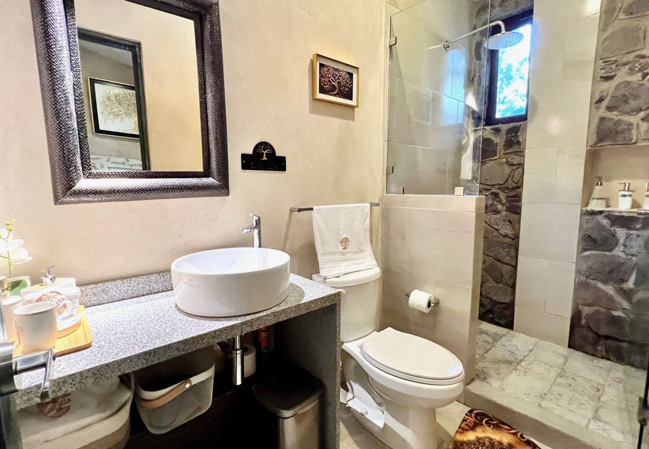 Apartment in Val’Quirico - Mia en ValQuirico