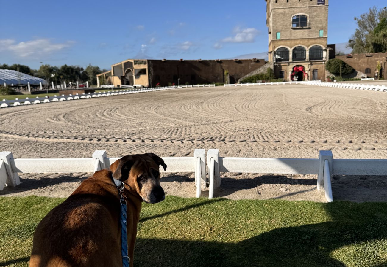 Apartment in Val’Quirico - Sicilia con Terraza y chimenea
