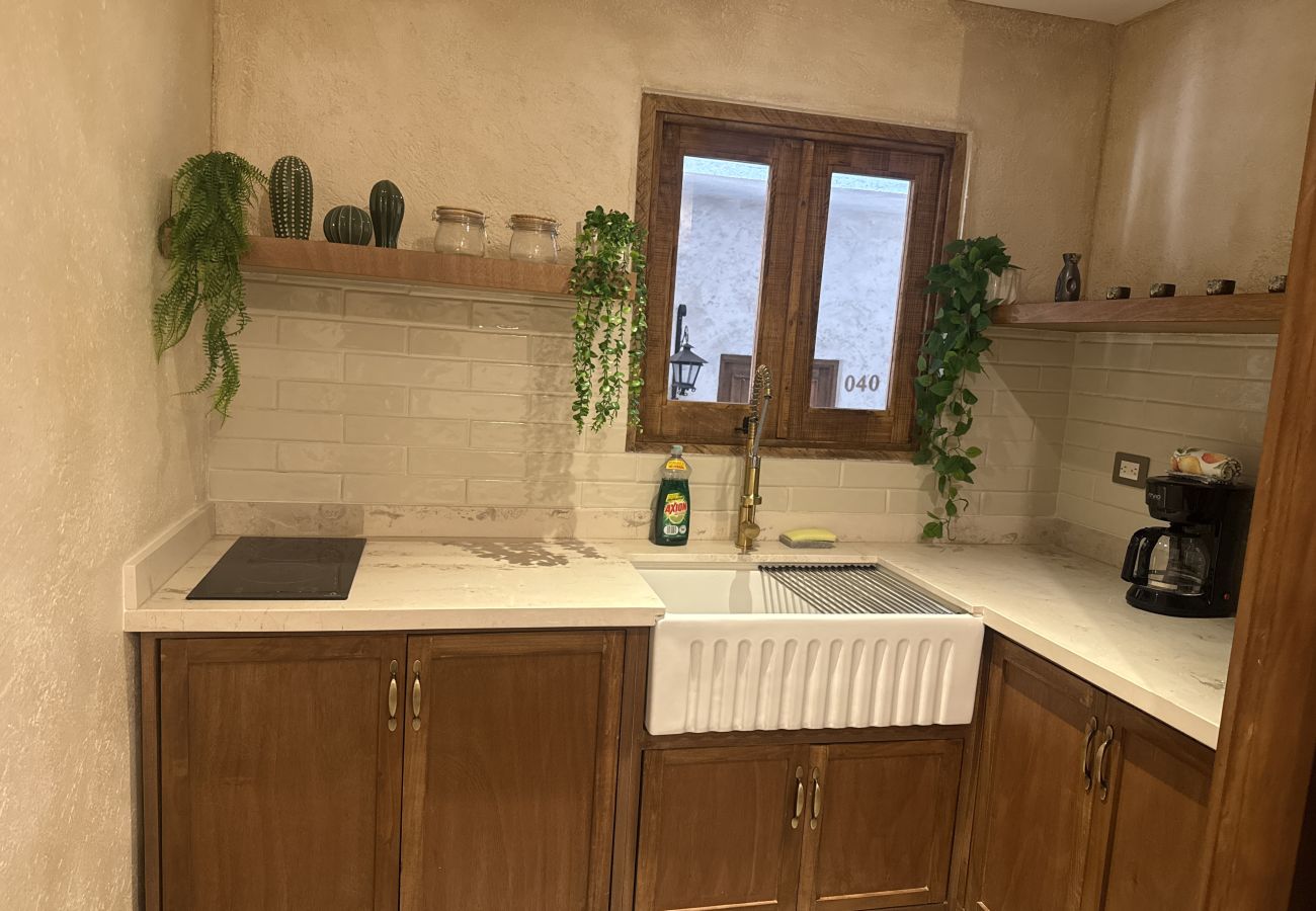 Apartment in Val’Quirico - Loft Elena en ValQuirico