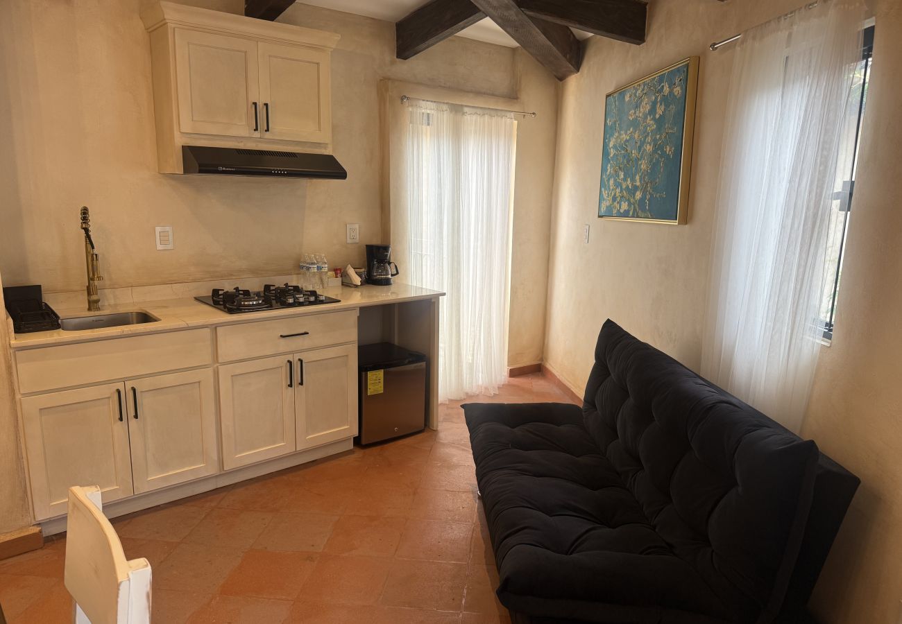 Apartment in Val’Quirico - Loft La Reggina